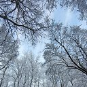 ���� ������, ���������, 51 ��� - ��������� 18 ������ 2025 � ������ ���� ����������