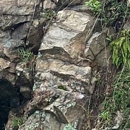 ������ ���������, ������, 48 ���