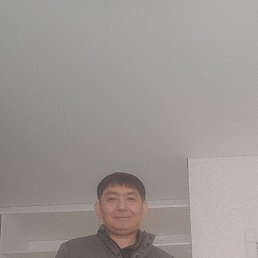 , 41, 