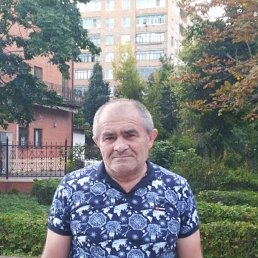 , 66, 