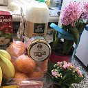 ���� ������, �������, 48 ��� - ��������� 15 ����� 2026 � ������ ������ ��������