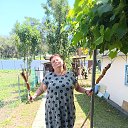 ���� ���, ��������, 49 ��� - ��������� 29 ������ 2025 � ������ ���� ����������