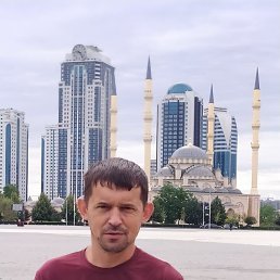 �������� ��������, 46 ���, ����������