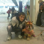 ���� ����������, 38 ���, �����