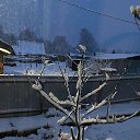 ���� Julia, ������, 36 ��� - ��������� 20 ������ 2026 � ������ ���� ����������