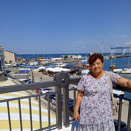 , 66, 