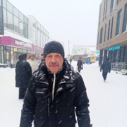 , 61, 