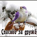 ���� ������, ������ - ��������� 21 ������ 2026 � ������ ������ ��������