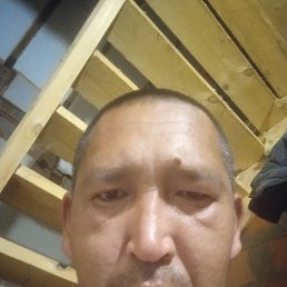 , 37, 