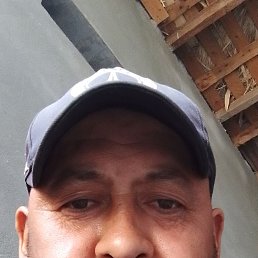  , 41, 
