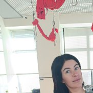 , 37 , 