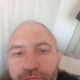 , 44,  