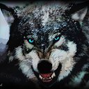 ���� ����� ����, ������������ - ��������� 24 ���� 2025
