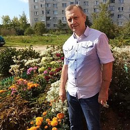 ���������, ������