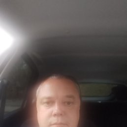 , 41, 
