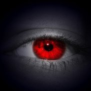 ����, 37 ���, ��������