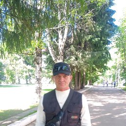 , 54 , 
