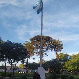 ���� ������, ����, 38 ��� - ��������� 12 ������� 2025