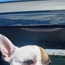 ���� ����������, ������ - ��������� 21 ������ 2025 � ������ ������ ��������