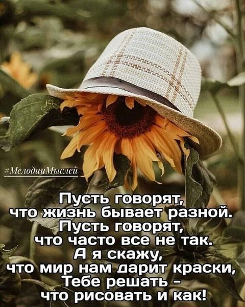   - 8  2025  21:17