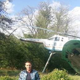 ���� �����, ���������, 43 ���� - ��������� 2 ������� 2024