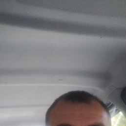 ���������, 38 ���, �������