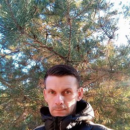 �����, 37 ���, ����