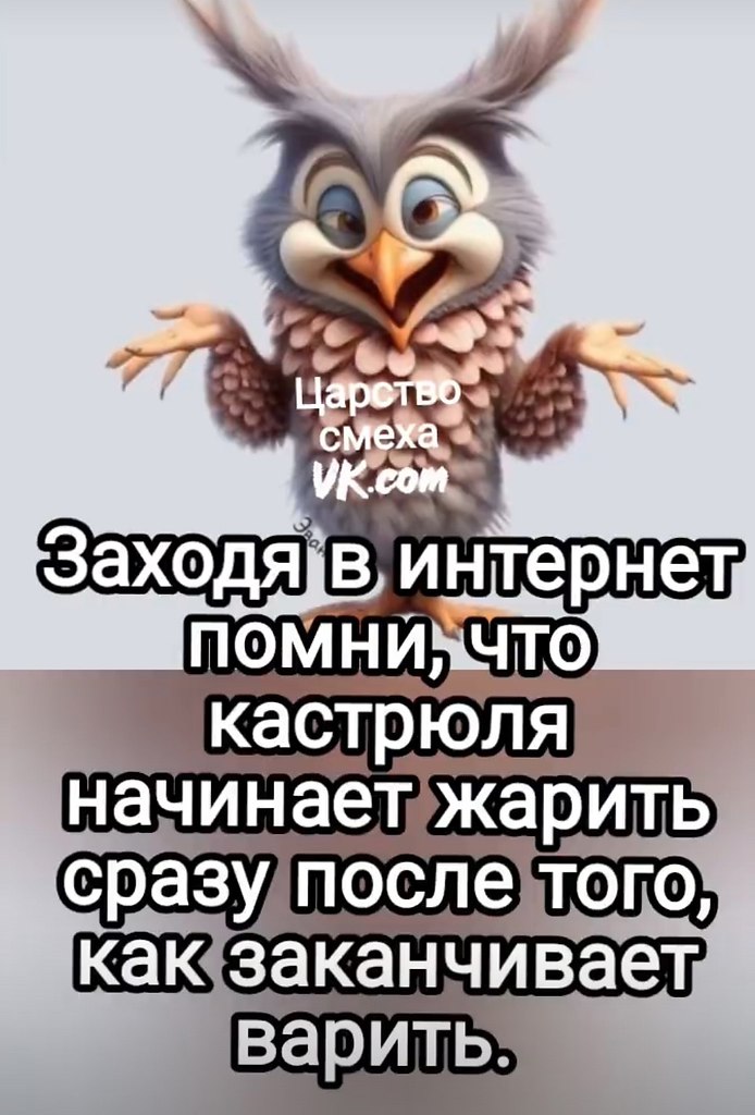 - 11  2025  00:29