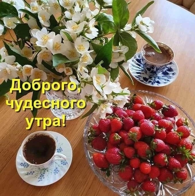   ,    . - 6  2025  22:49