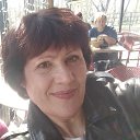 ���� ������, ����������, 67 ��� - ��������� 14 ������ 2026 � ������ ���� ����������