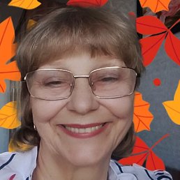 , 66, 