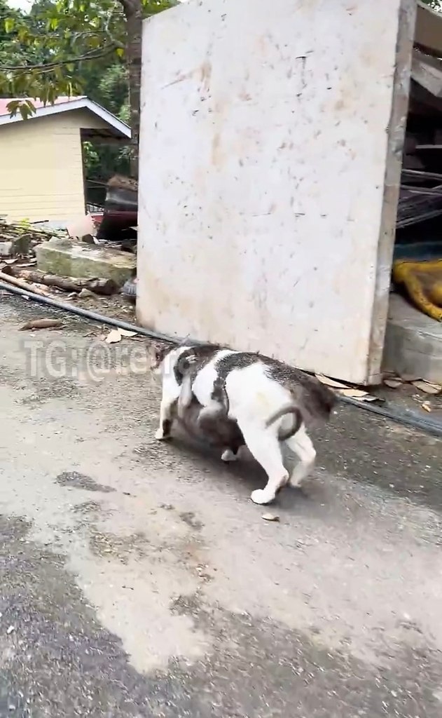 aa oa coa 8-ecoo aaa, oop ocac e poee. oa aa ocoo oc ... - 2