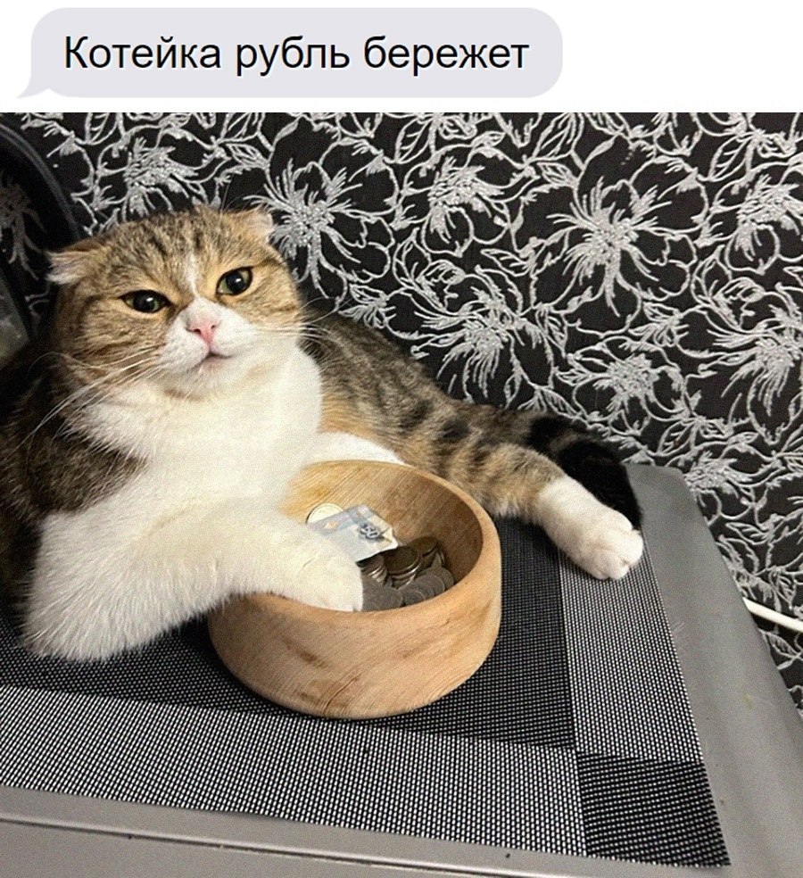 ��� �������� �������� - 7 ������� 2026 � 16:30