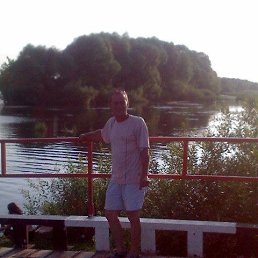 ���� ������, ����, 50 ��� - ��������� 20 ������ 2026