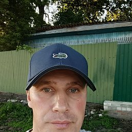 , 37, 