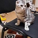 ���� �������, ������, 60 ��� - ��������� 1 ������� 2023 � ������ ���� ����������
