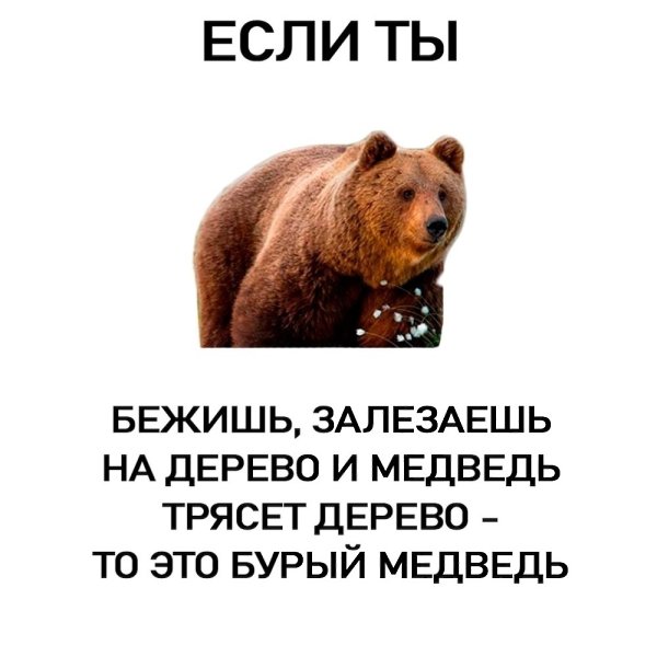  . - 2