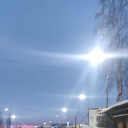 ���� ��������, ������, 52 ���� - ��������� 20 ������� 2023