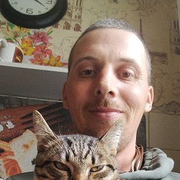 , 36 , 