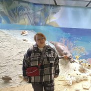 �������, 38 ���, ������