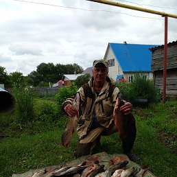 ��������� �������, ����������, 59 ���