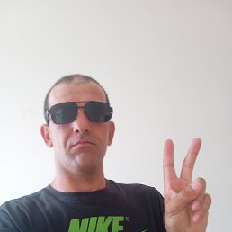 , 37, 