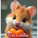 ���� ����, ��������, 56 ��� - ��������� 8 ������ 2025