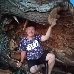 ���� ������, ������-���, 31 ��� - ��������� 29 ������� 2025