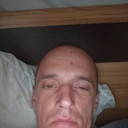 ���� �������, ������, 41 ��� - ��������� 2 ������� 2026