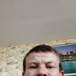 , 33, 