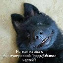 ���� �����, ���������, 59 ��� - ��������� 23 ������ 2025 � ������ ������ ��������