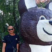 ������, 41 ���, �����������