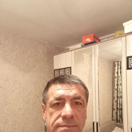  , 51, 