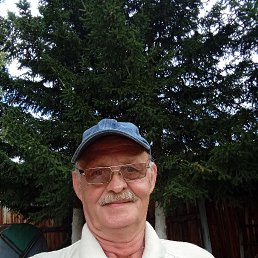 , 61, 